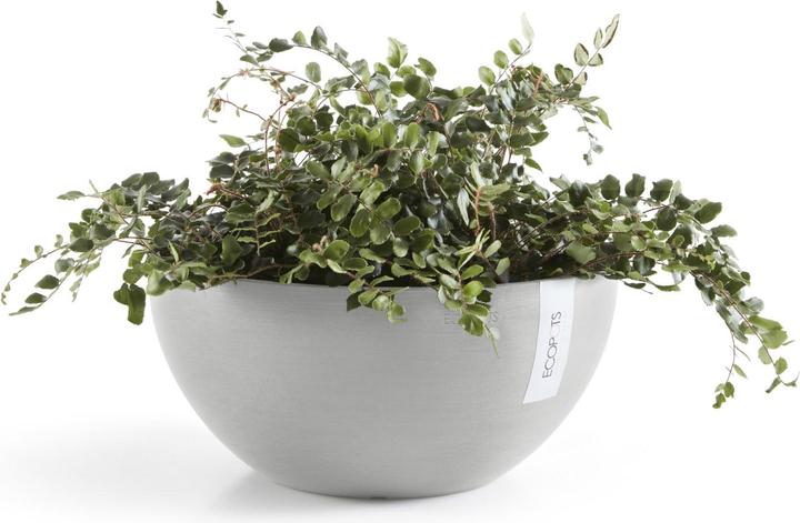 Image du produit Ecopots Bruxelles (25 cm)