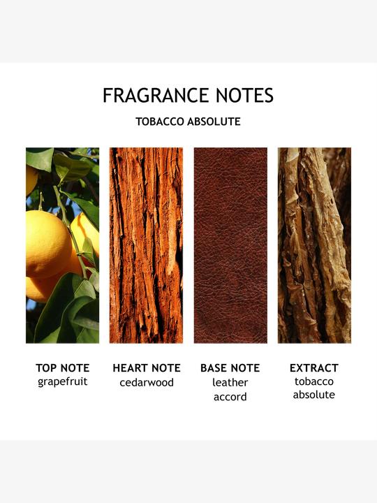 Actual product image Molton Brown Tobacco Absolute Bath & Shower Gel G (300 ml)
