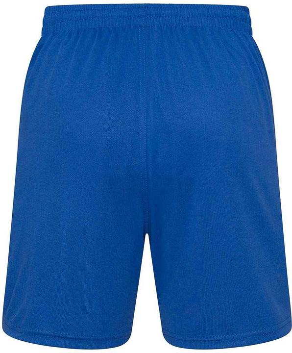 Actual product image Awdis Mens Shorts (XS)