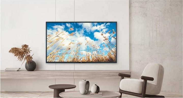 Image du produit LG Hôtel TV 43UM767H (43", UM767H, LED, 4K, 2023)