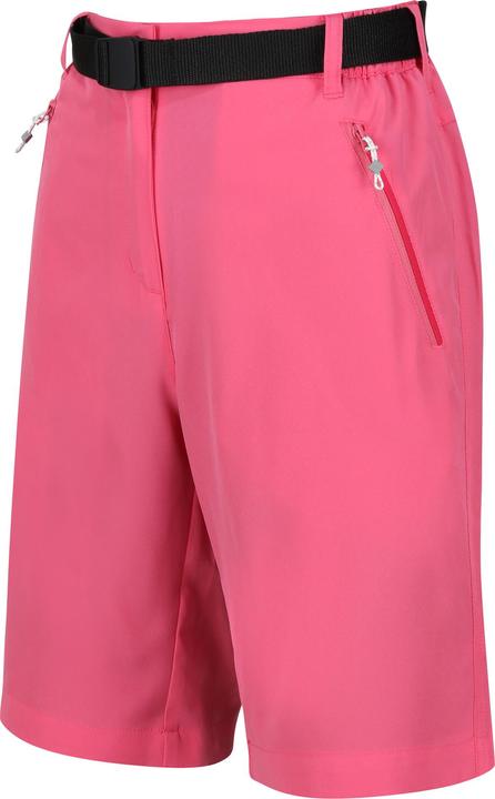 Actual product image Regatta Womens/Ladies Xert Stretch Shorts (34)