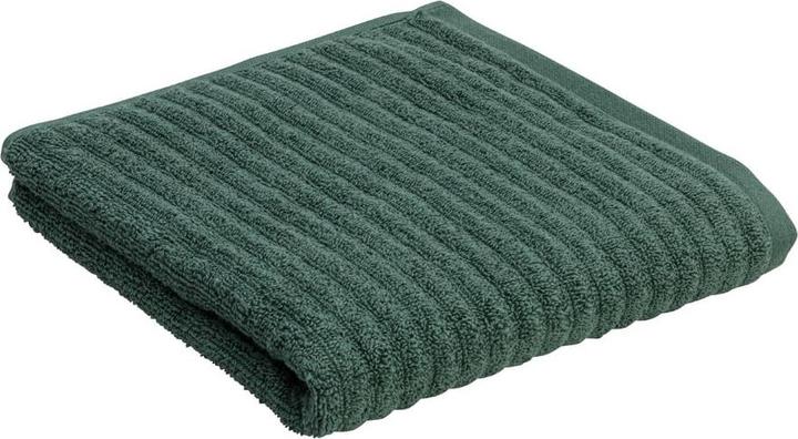 Rametti di abete, verde bottiglia