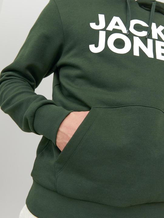 Image du produit Jack & Jones Logo Hoodie (L)
