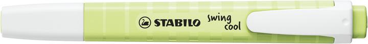 Immagine prodotto STABILO Swing Cool (Verde, Verde chiaro, 4 mm, 1 x)