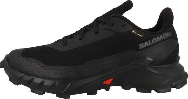 Actual product image Salomon Alphacross 5 GTX - 60355 (40 2/3)