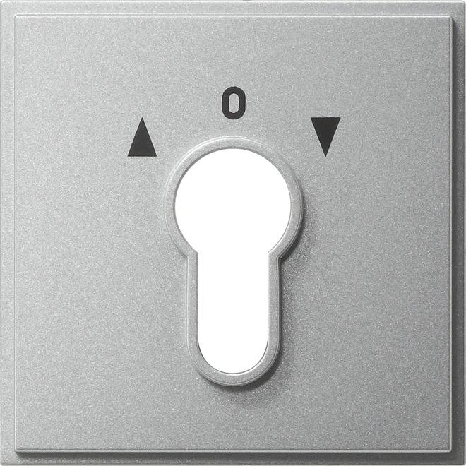 Gira Cover for key switch/button 066465