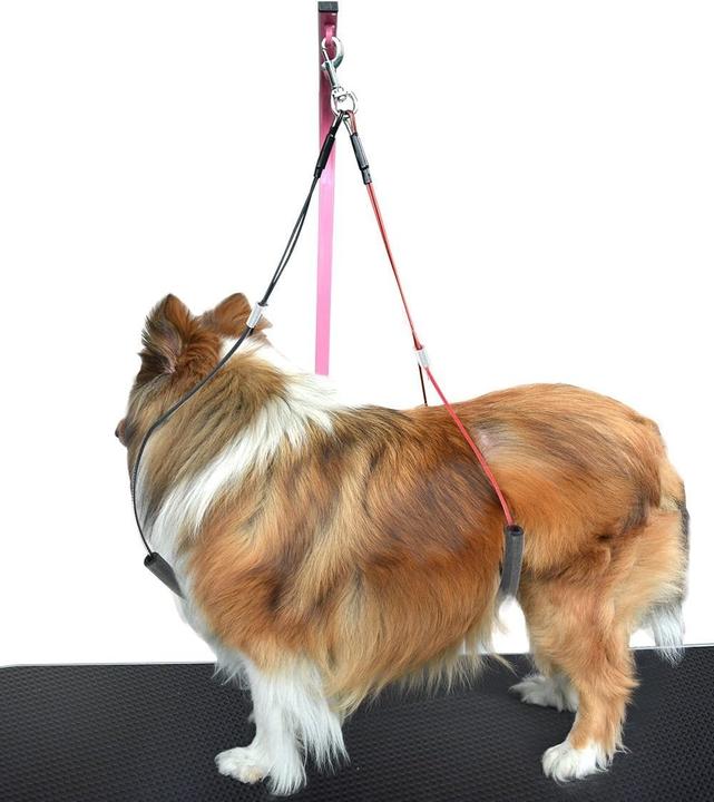 Immagine prodotto Gravitis Set di toelettatura per cani (Cane)