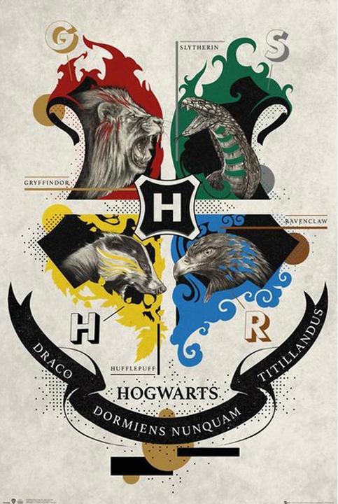 Immagine prodotto Poster Case di Hogwarts (61 x 91 cm)