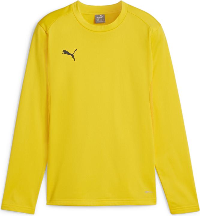 Puma teamGOAL Training Sweat Jr