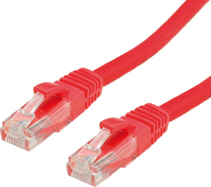 Rot