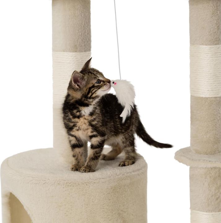 Image du produit tectake Dominik (144 cm, Beige)