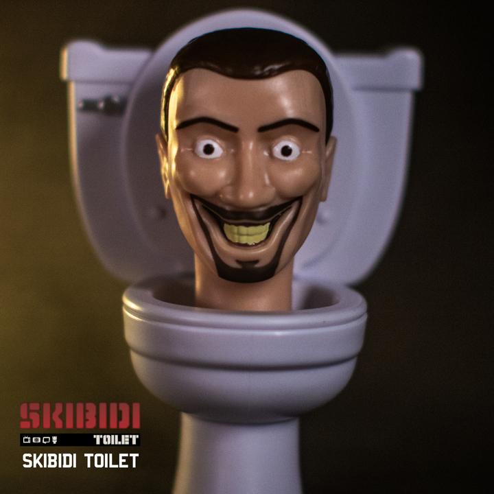 Actual product image Skibidi Toilet SKIBIDI Large mystery figures in PDQ