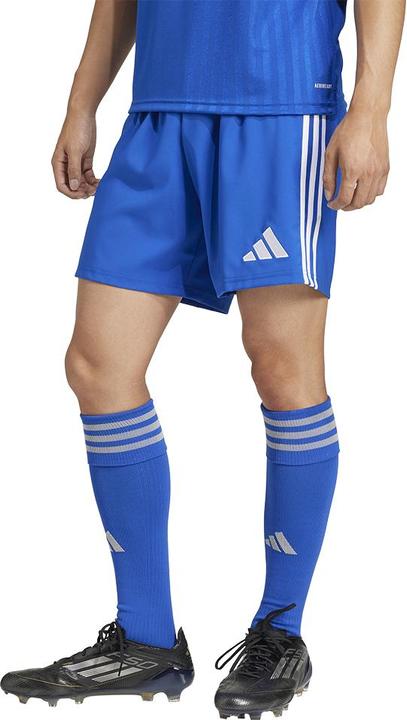 Actual product image adidas Tastigo25 Short (L)