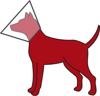 Actual product image Trixie Protective collar with velcro fastening (Cat, Dog)