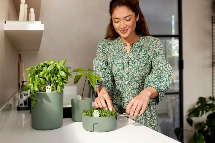 Produktbild Elho Magic Microgreens (16.80 cm)