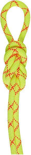 Produktbild Mammut 9.5 Alpine Core Protect Dry Rope (60 m)