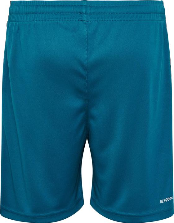 Actual product image hummel Hmlauthentic Pl Shorts Kids (128)