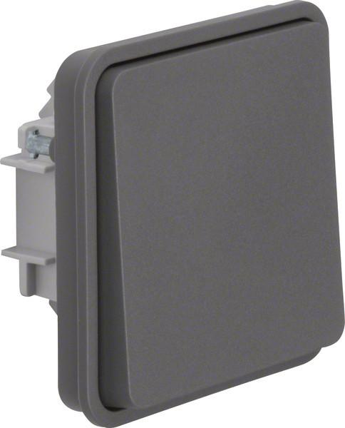 Actual product image Berker 6130763515. control: knobs, colour of product: grey, rated current: 10 A. Quantity per pack: 10