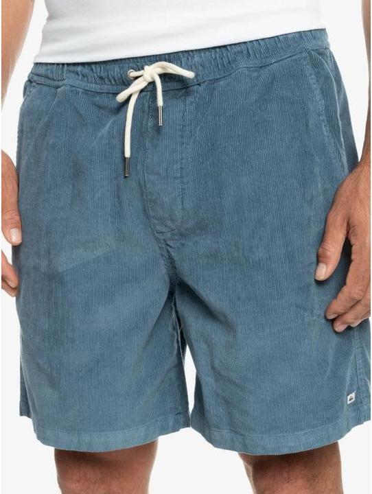 Image du produit Quiksilver Taxer Cord (L)