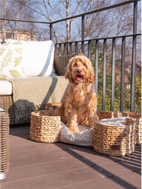 Actual product image Pet & Co. Dog Bed Bongo Nature (Dog)