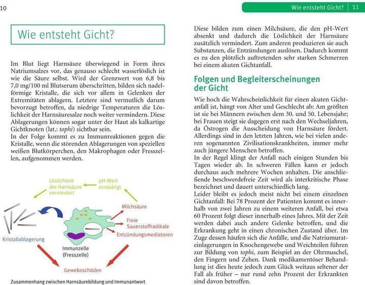 Produktbild Die richtige Ernährung bei Gicht (Deutsch, Ibrahim Elmadfa, 2017)