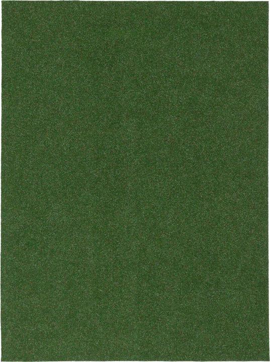 Produktbild Snapstyle Rasenteppich (50 x 200 cm)
