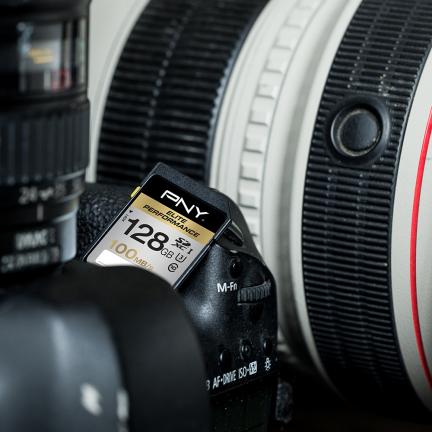 Actual product image PNY SDXC Card 128GB, Class 10, Elite Perf (128 GB, SDXC, U3, UHS-I)