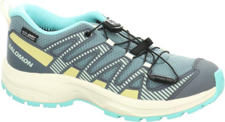 Salomon XA Pro V8 CSWP J