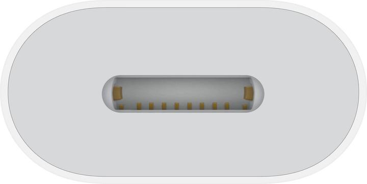 Actual product image Apple USB-C to Lightning adapter (USB Type C, Lightning)