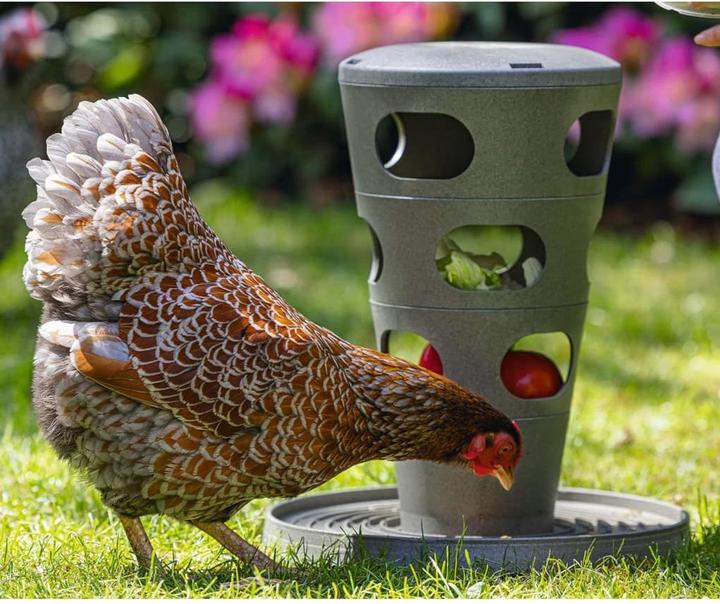 Image du produit Beeztees Mangeoire pour poules Tour d'alimentation, Gris
