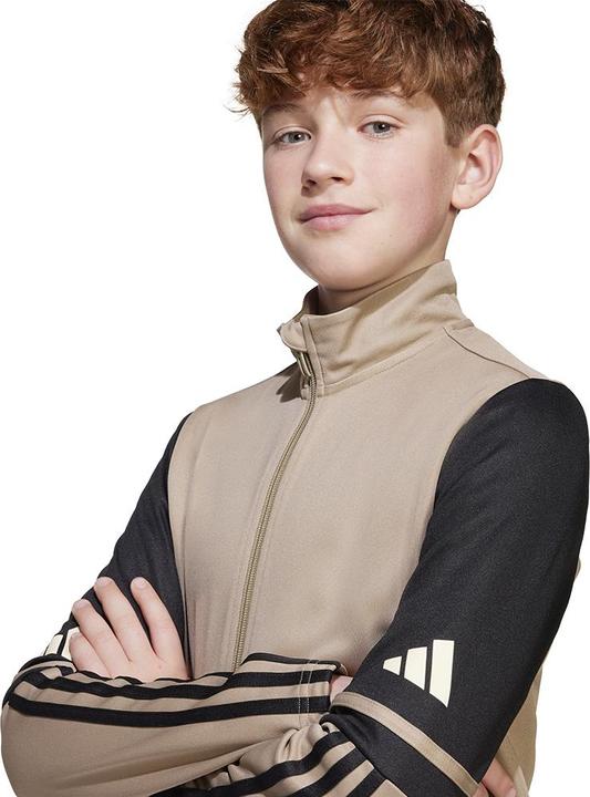 Actual product image adidas Squadra 25 Kids training jacket (164)