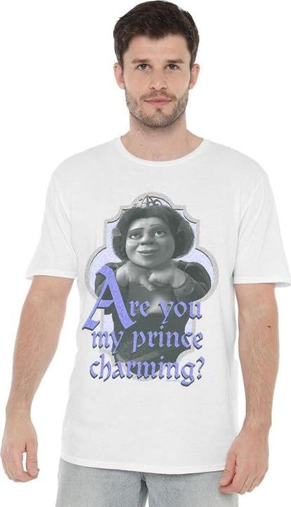 Actual product image Shrek Mens Are You Prince Charming T-Shirt (4XL)