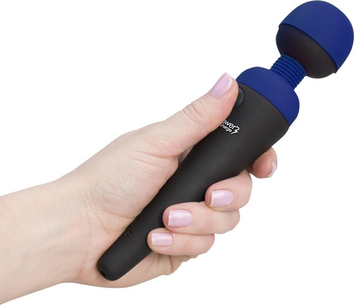 Image du produit Palmpower recharge