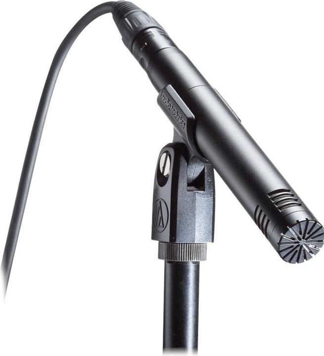 Actual product image Audio-Technica At2031