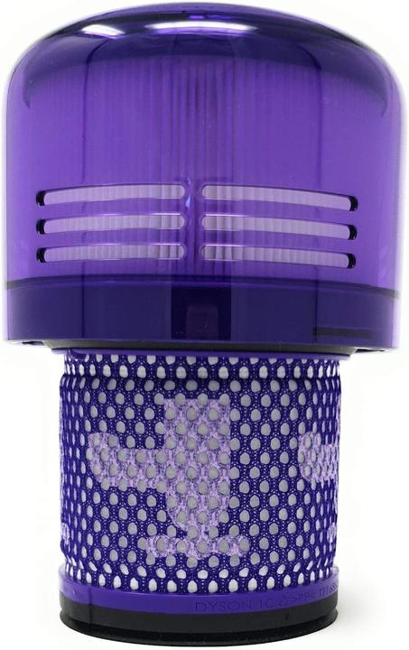 Dyson Grossfilter