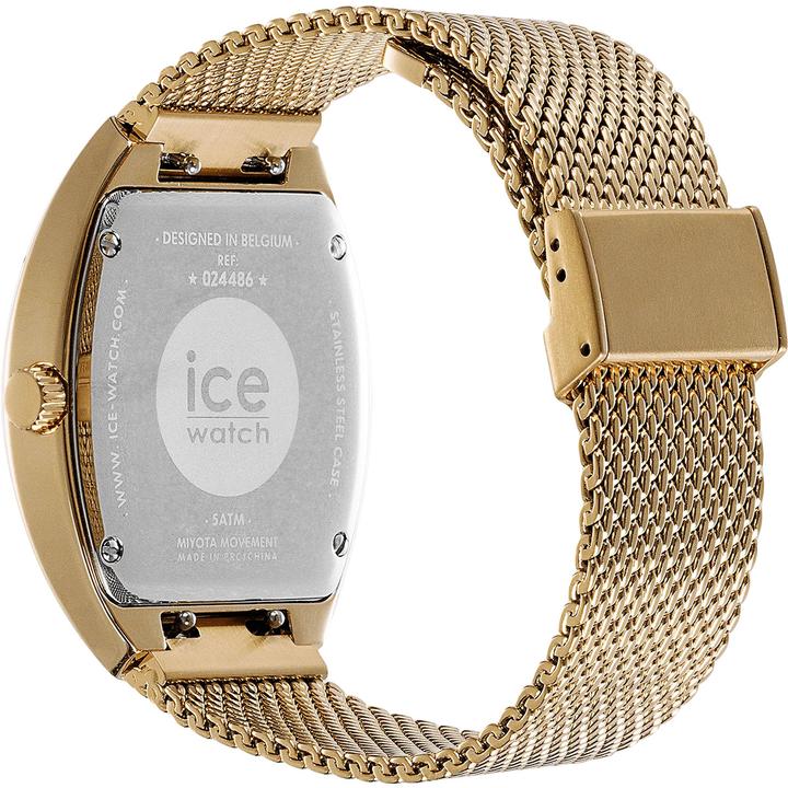Produktbild ICE Watch Ice Boliday Dome White Gold (35 mm)