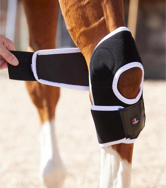 Immagine prodotto Premier Equine ginocchiere magnetiche per cavalli magni-teque