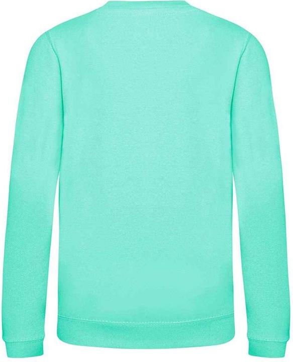 Actual product image Awdis Sweatshirt (140, 146)