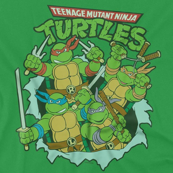 Actual product image Teenage Mutant NT Mens Retro Group T-Shirt (3XL)