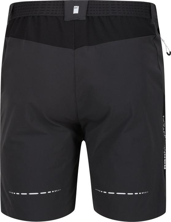 Actual product image Regatta Mens Mountain II Shorts (44 D)