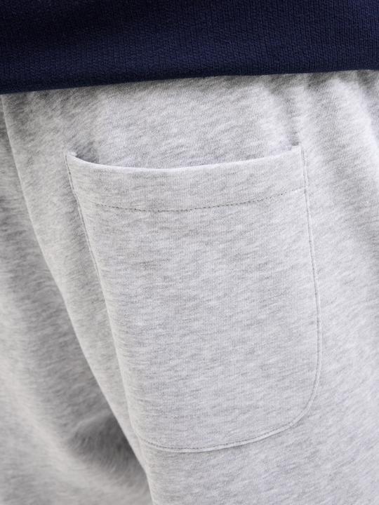 Actual product image Jack & Jones Jpstbradley Sweat Shorts Sn Gms (M)