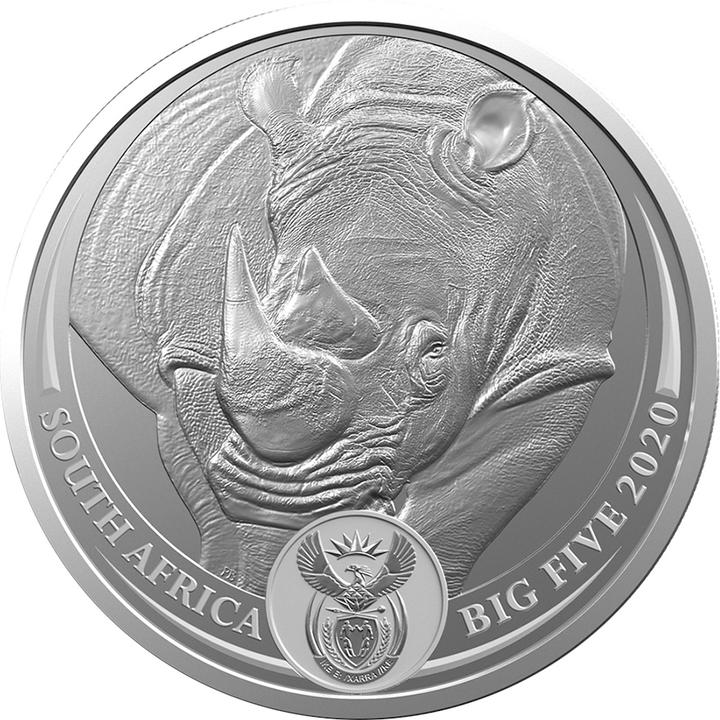 Produktbild South Africa Mint Silber Nashorn 1 oz - Big Five Serie I - 2020 (999, 2020)