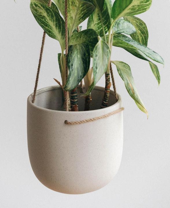 Actual product image Esmée Hanging pot (18 cm)