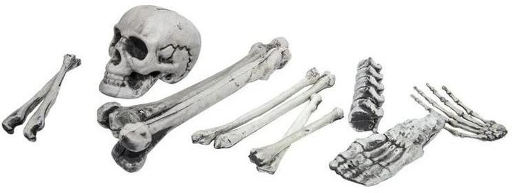 Actual product image Dekomat Deco Bone Set 12 pieces, White