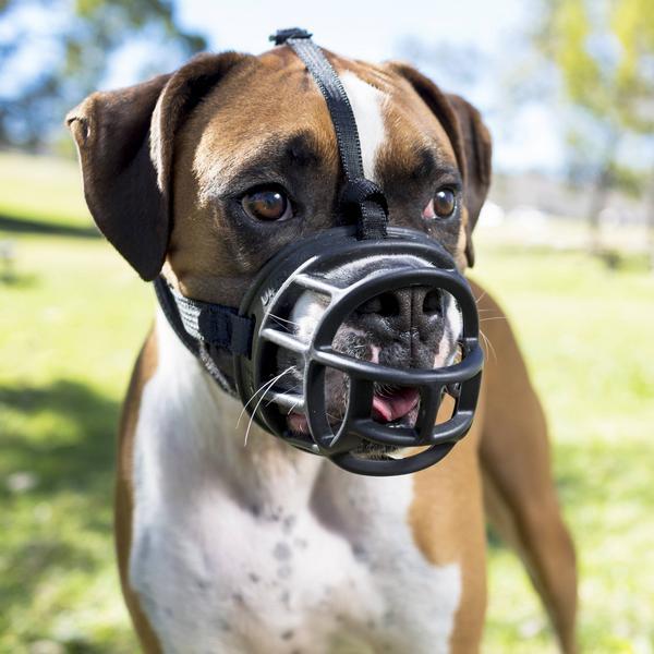 Immagine prodotto Company of Animals Museruola Ultra Muzzle (4, Cane, Generale)