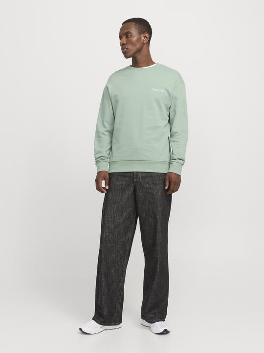 Image du produit Jack & Jones Jjebradley Graphic Sweat Crew Noos (S)