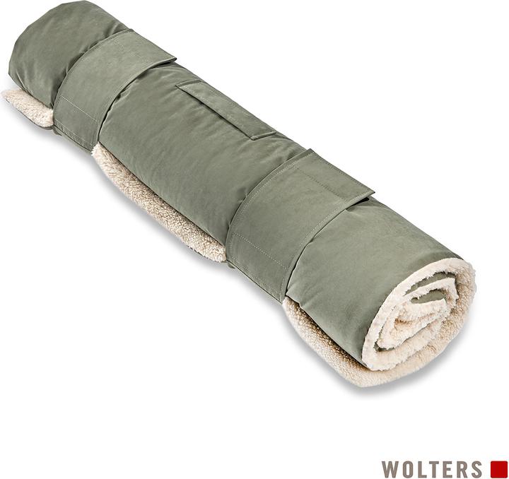 Wolters Vagabund (Hund)