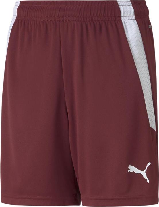 Actual product image Puma teamLIGA Shorts Jr (140)