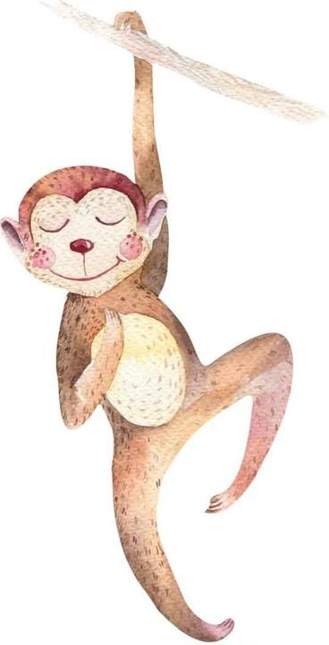 Actual product image Trenddeko Hanging monkey (30 x 60 cm)