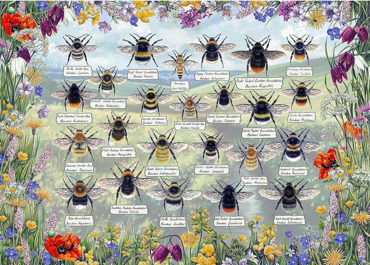 Actual product image Gibsons Puzzle Brilliant Bees 1000 pieces (1000 pieces)